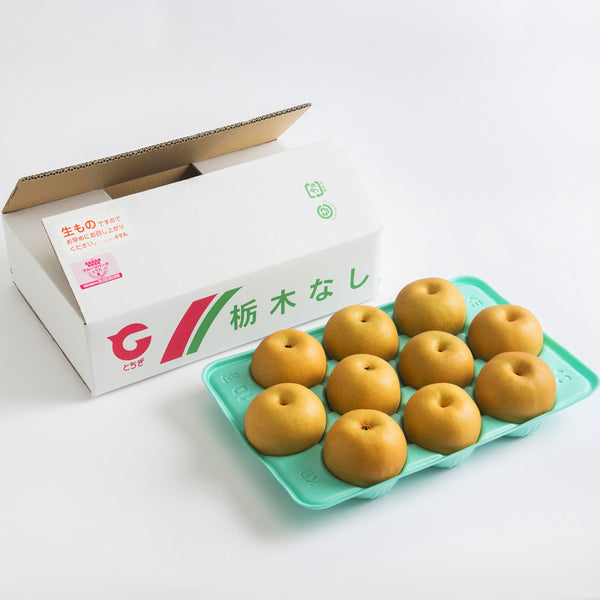 幸水【5kg箱 5L～4Lサイズ（10玉～12玉入り）】